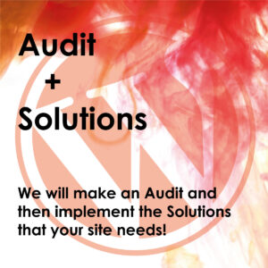 Audit and Solutions