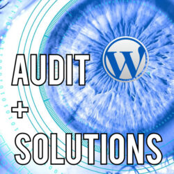 Audit and Solutions