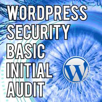 WordPress Security Basic Initial Audit