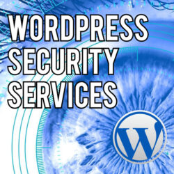 WordPress Security Services