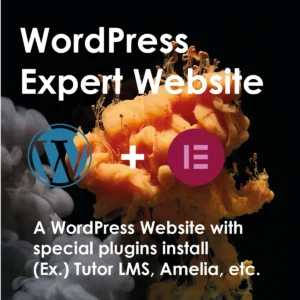 WordPress Expert Website