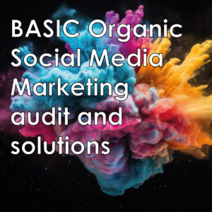 BASIC Organic Social Media Marketing audit and solutions