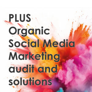 PLUS Organic Social Media Marketing audit