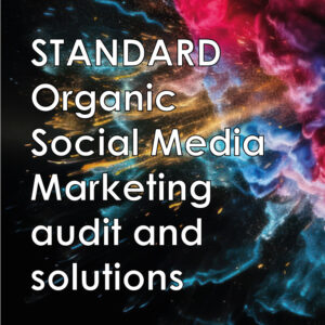 STANDARD Organic Social Media Marketing audit